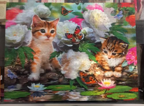 3D kattenpuzzel