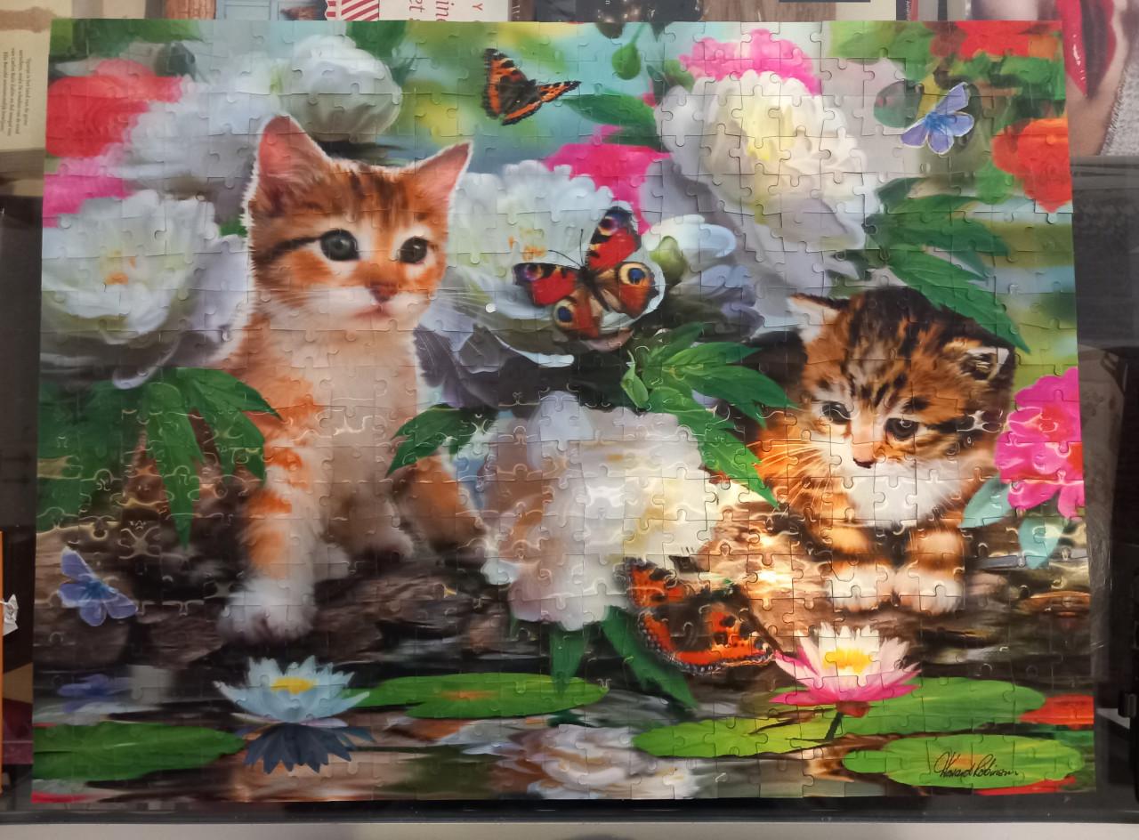 3D kattenpuzzel