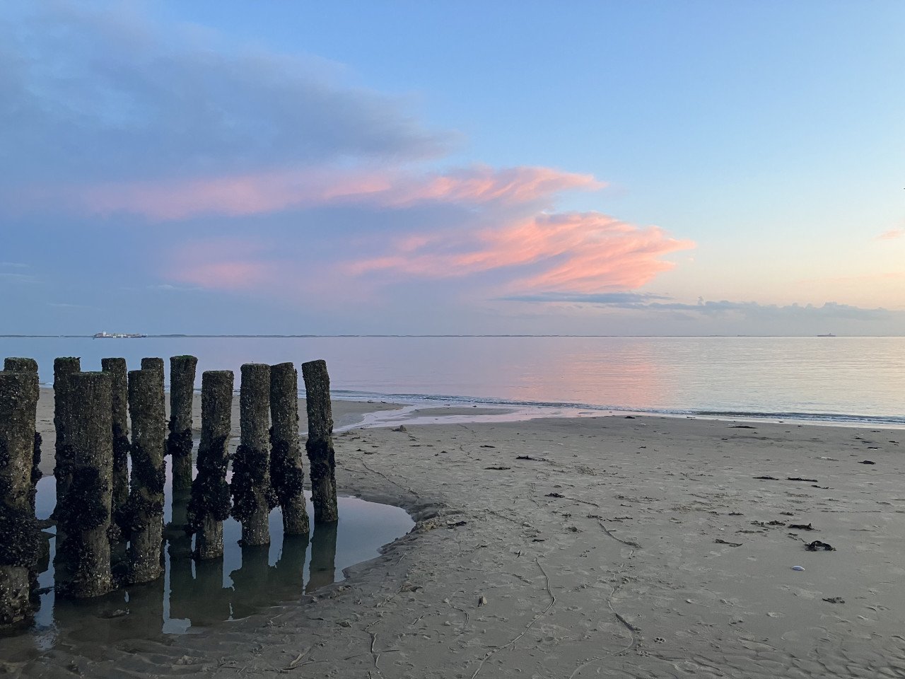 Slaapstrandhuisje te huur ☀️ laatste opties augustus
