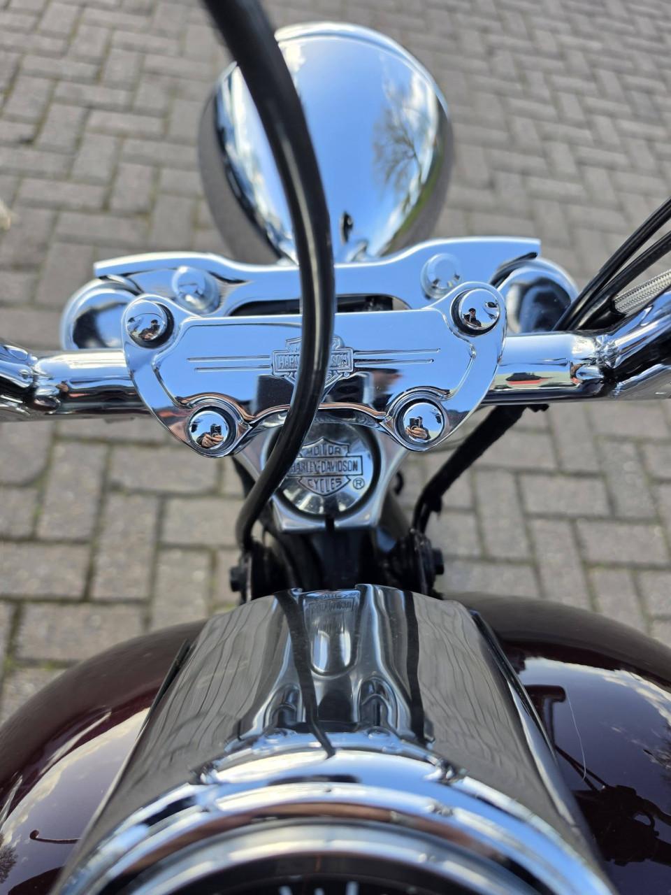 Harley-Davidson 1200😍 Custom Sportster – 95th Anniversary Edition