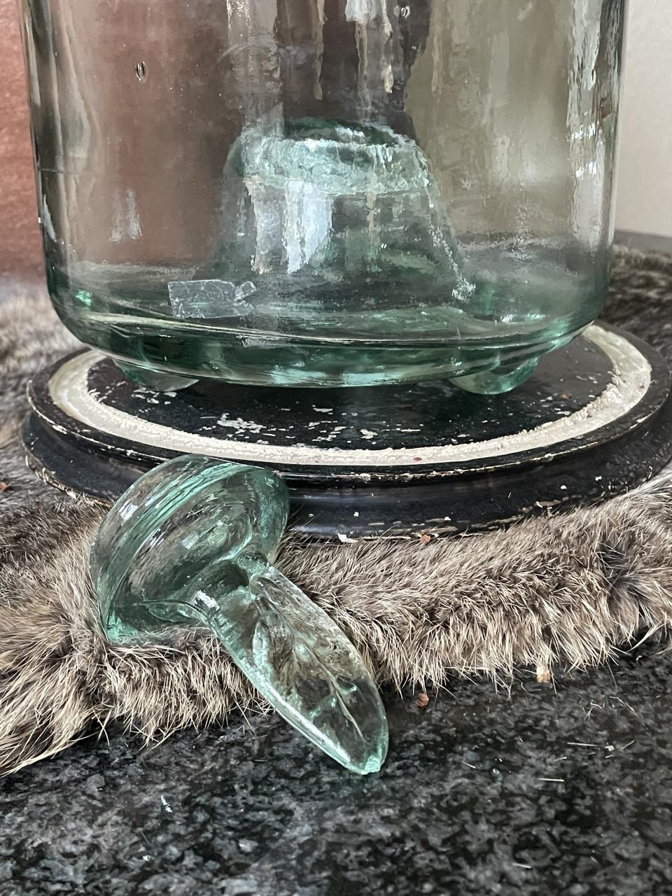 Vintage wespenvanger