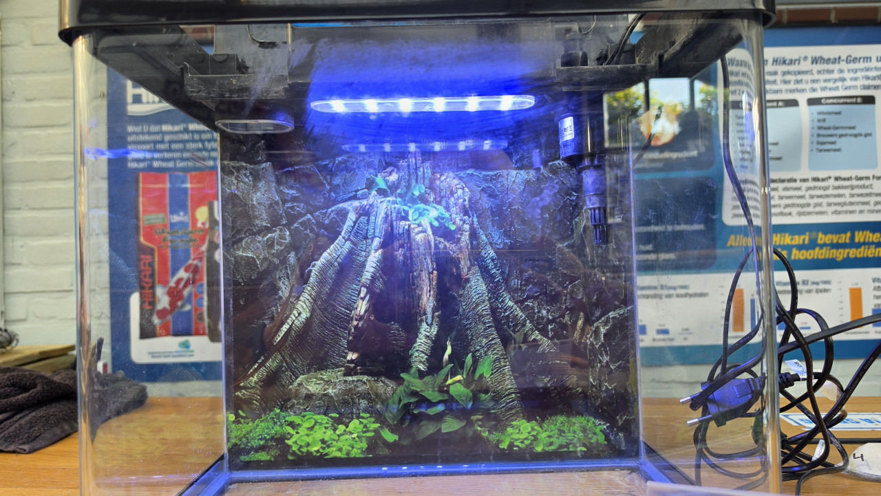 Kleine aquarium