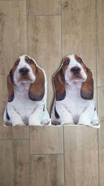 🐈🐕 Dierenkussentjes van zachte stof
