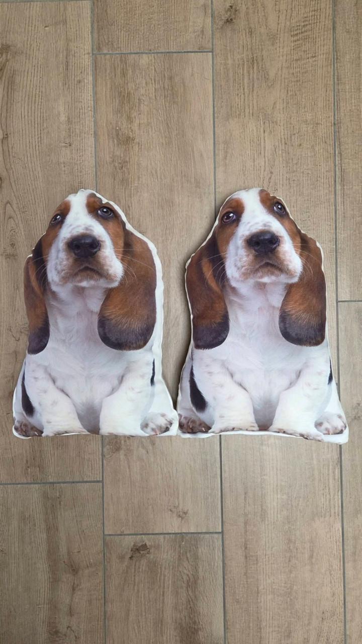 🐈🐕 Dierenkussentjes van zachte stof