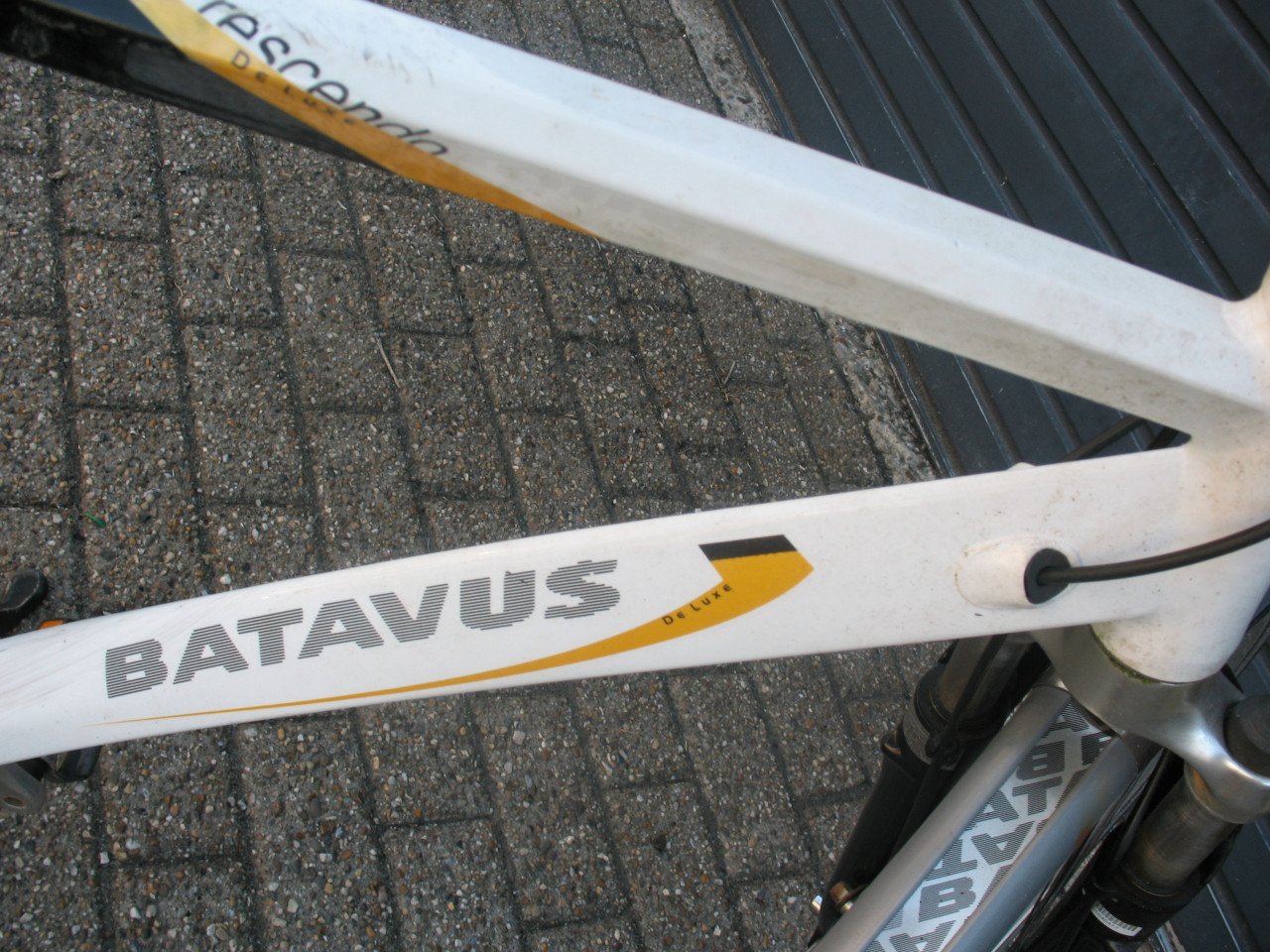 Herenfiets batavus