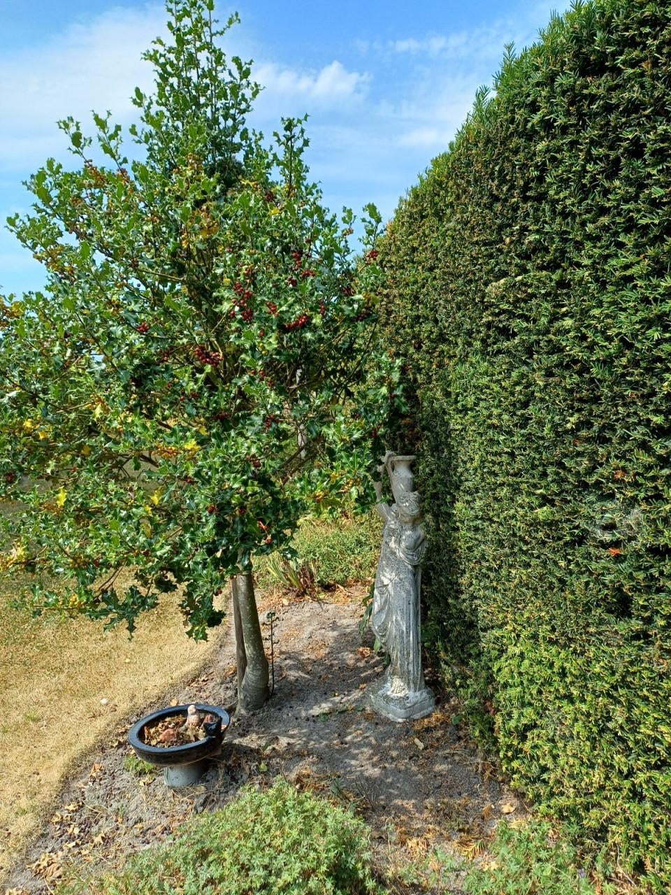 Diverse tuinbeelden, apart of als set