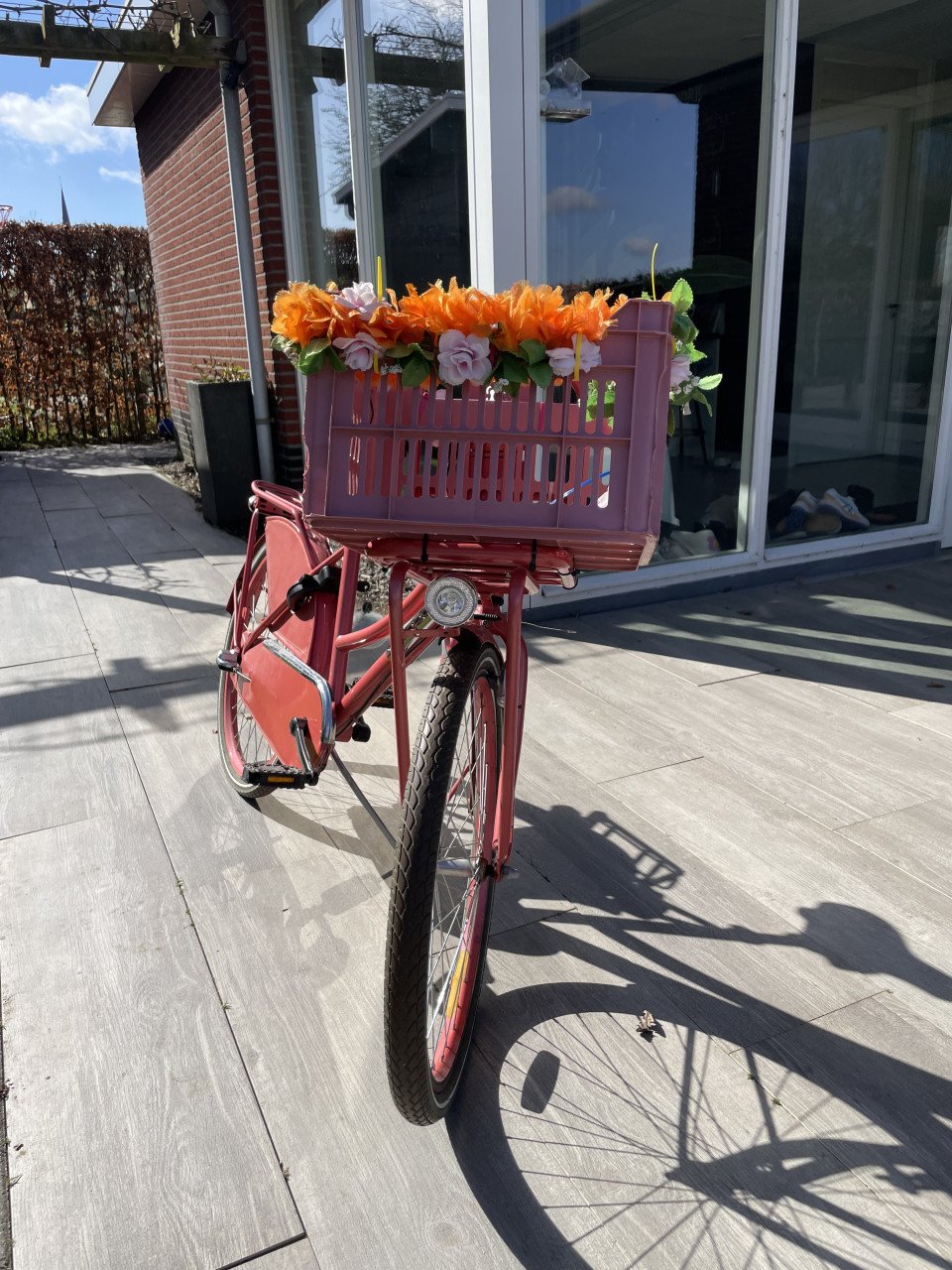 Meisjes fiets