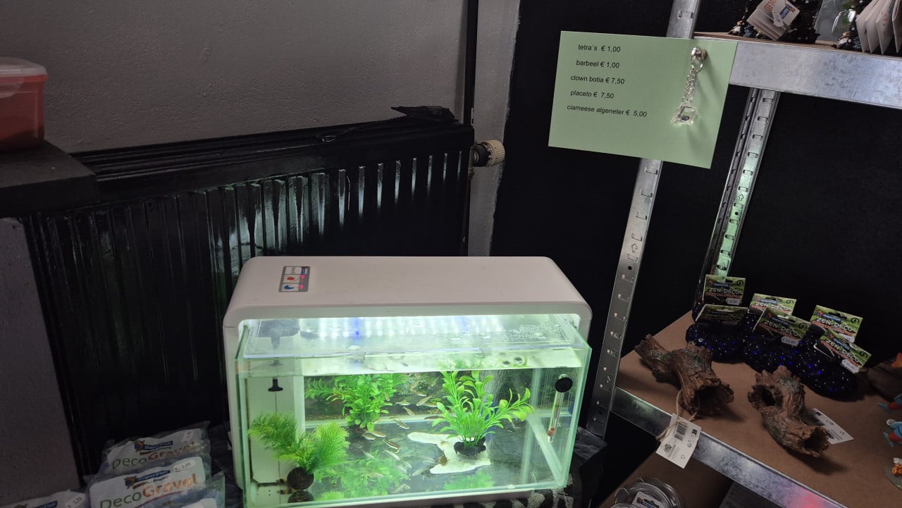 Aquarium spullen