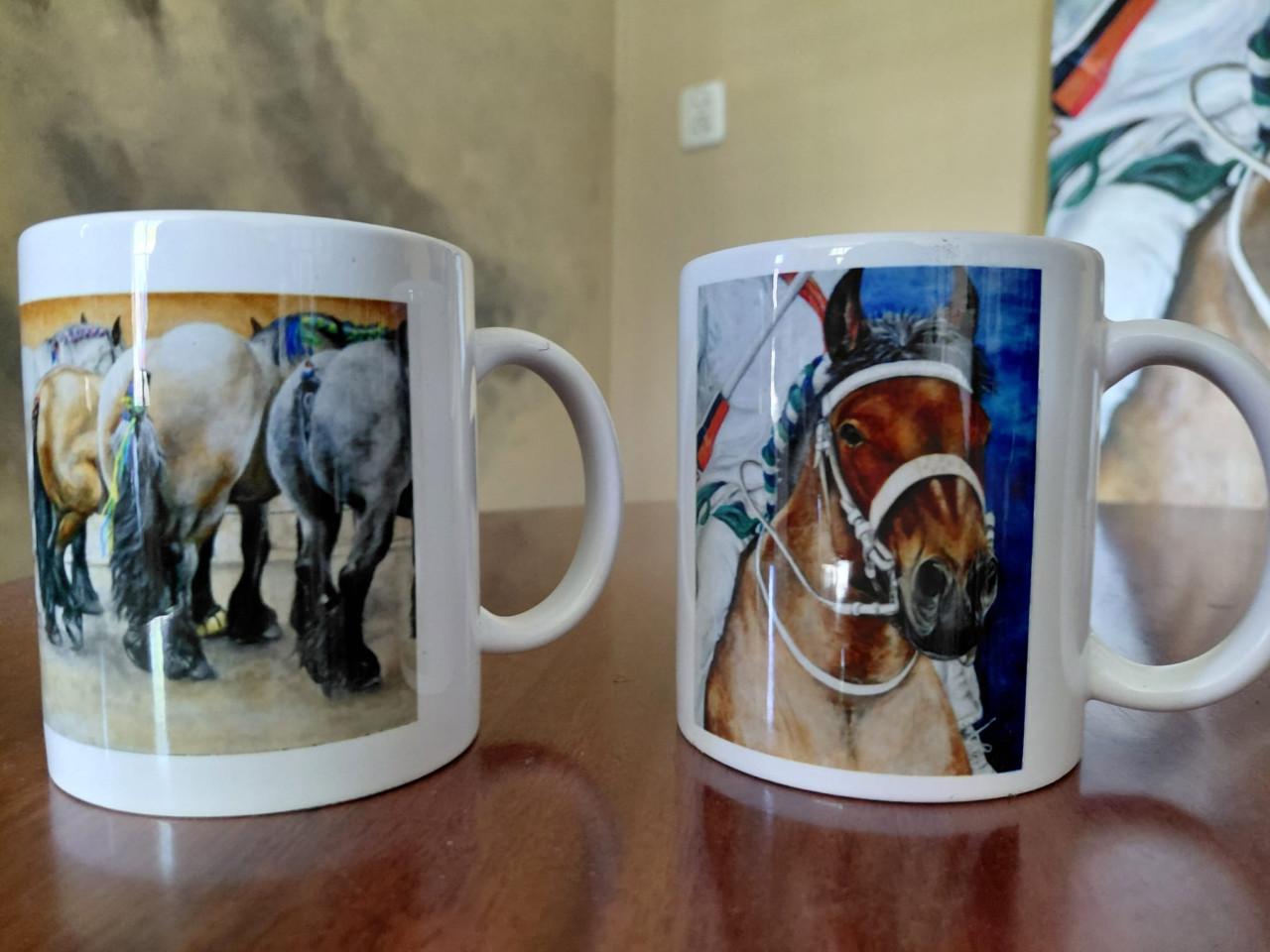 Expositie met schilderijen van het Zeeuwse ringrijden