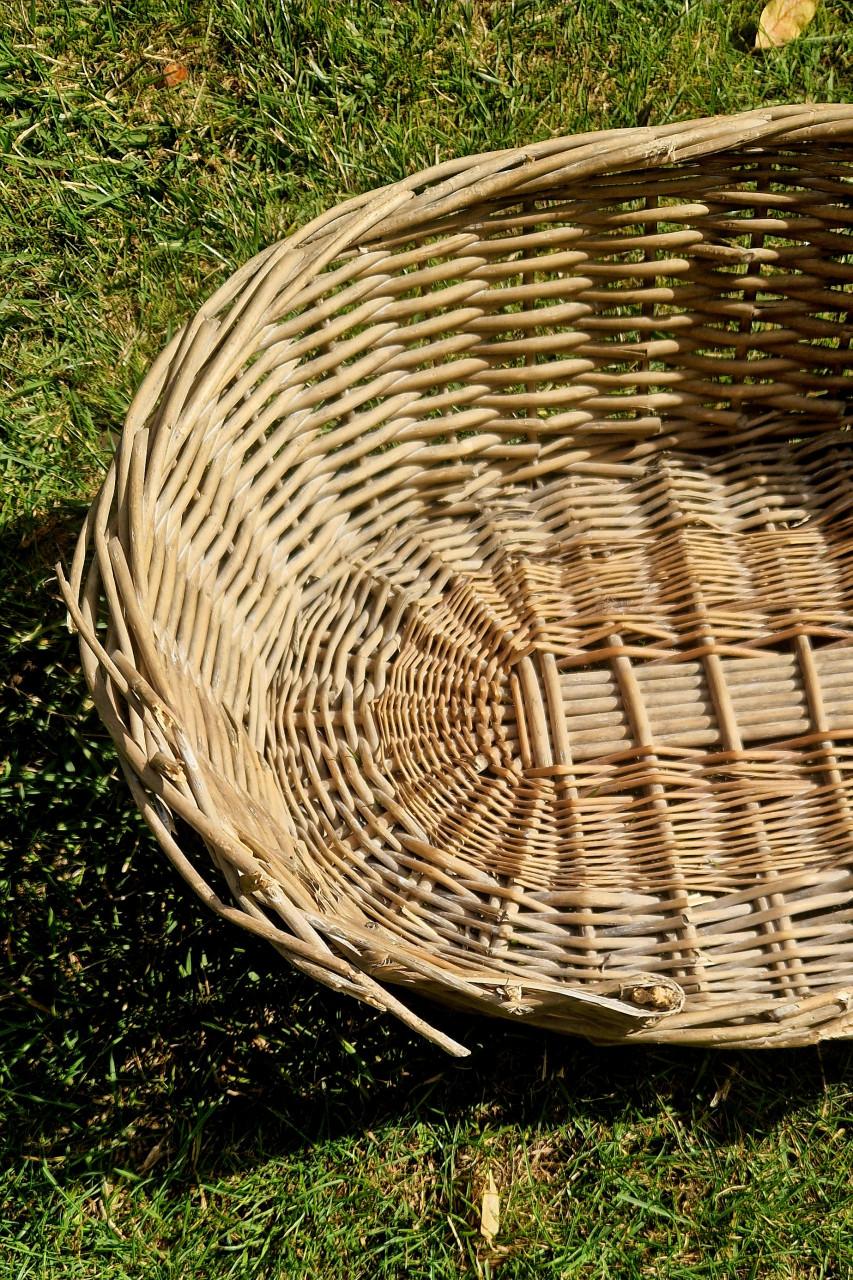 Rieten hondenmand 60x42x18 cm