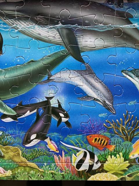 Disney classics video's en legpuzzels vanaf + 5-6