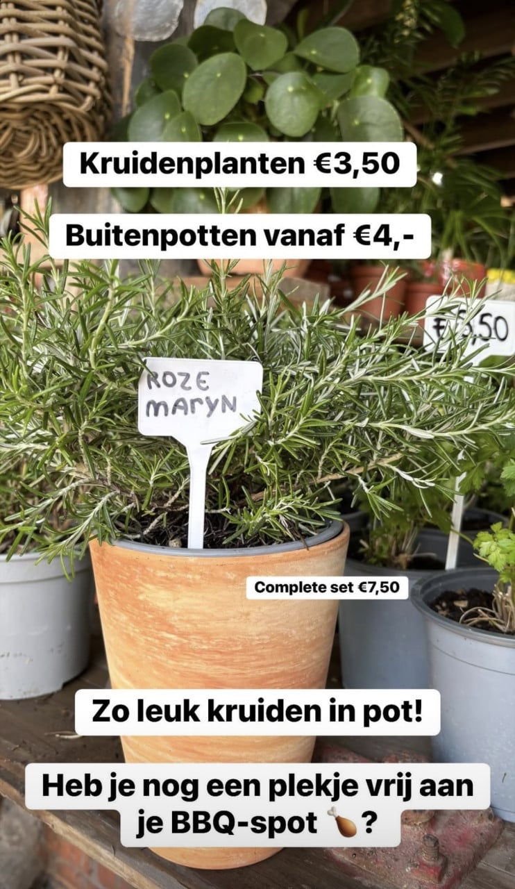 GOEDKOPE BUITEN+ BINNEN POTTEN