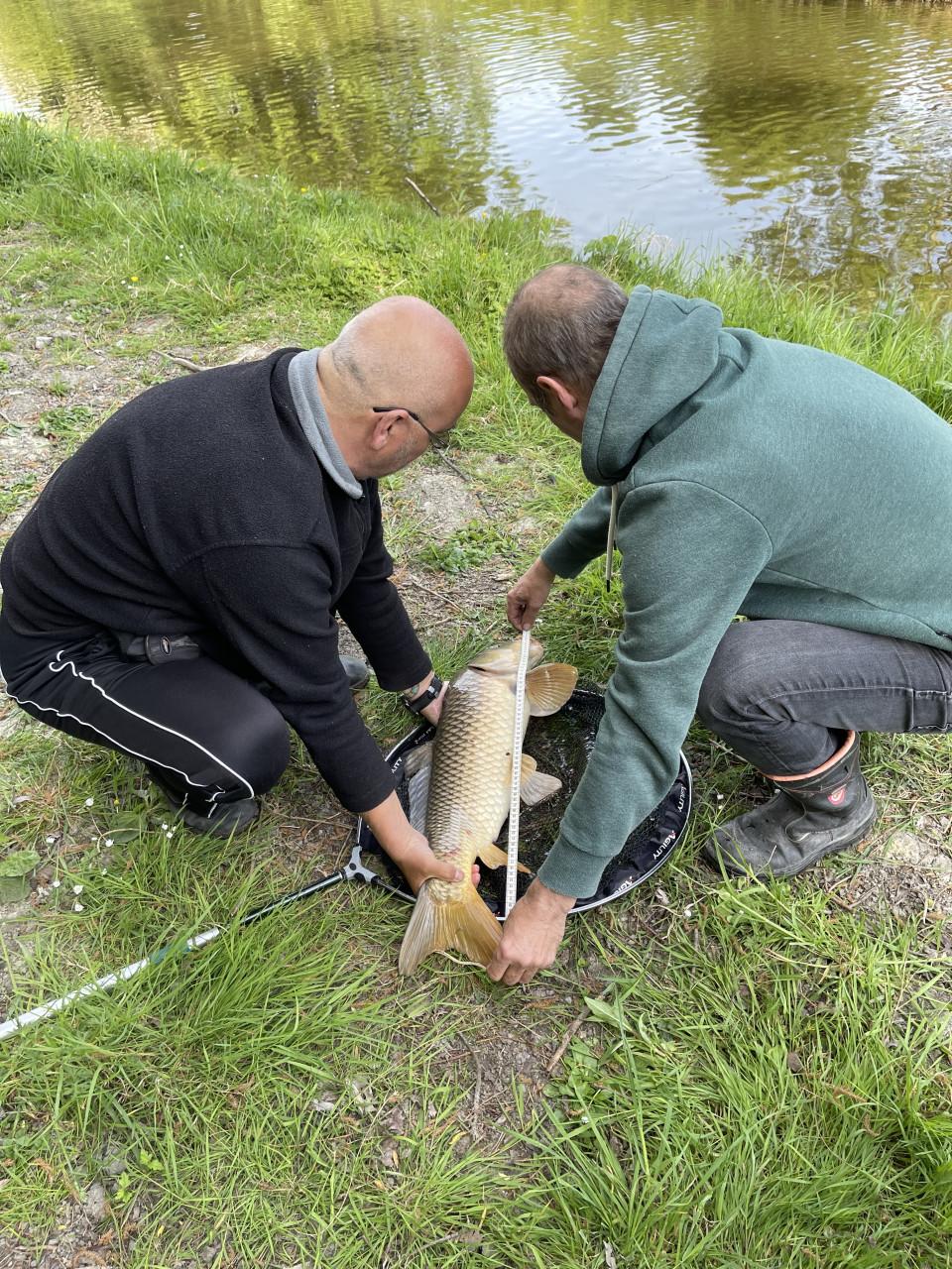 DE 3 HENGELVERGUNNING KOMT NIET IN DE VISPAS BIJ KARPERVISSERIJ KOUDEKERKE