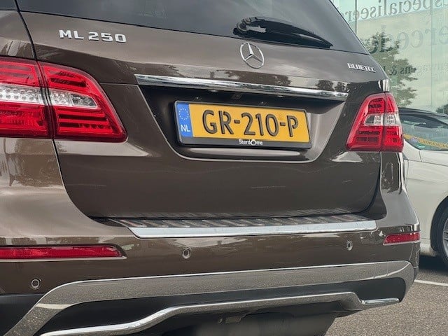 Mercedes-Benz ML-klasse 250 bluetec | spiegelpakket | privacyglas | stoelve