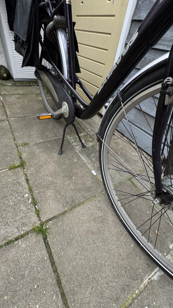 Batavus mambo dames/ moederfiets