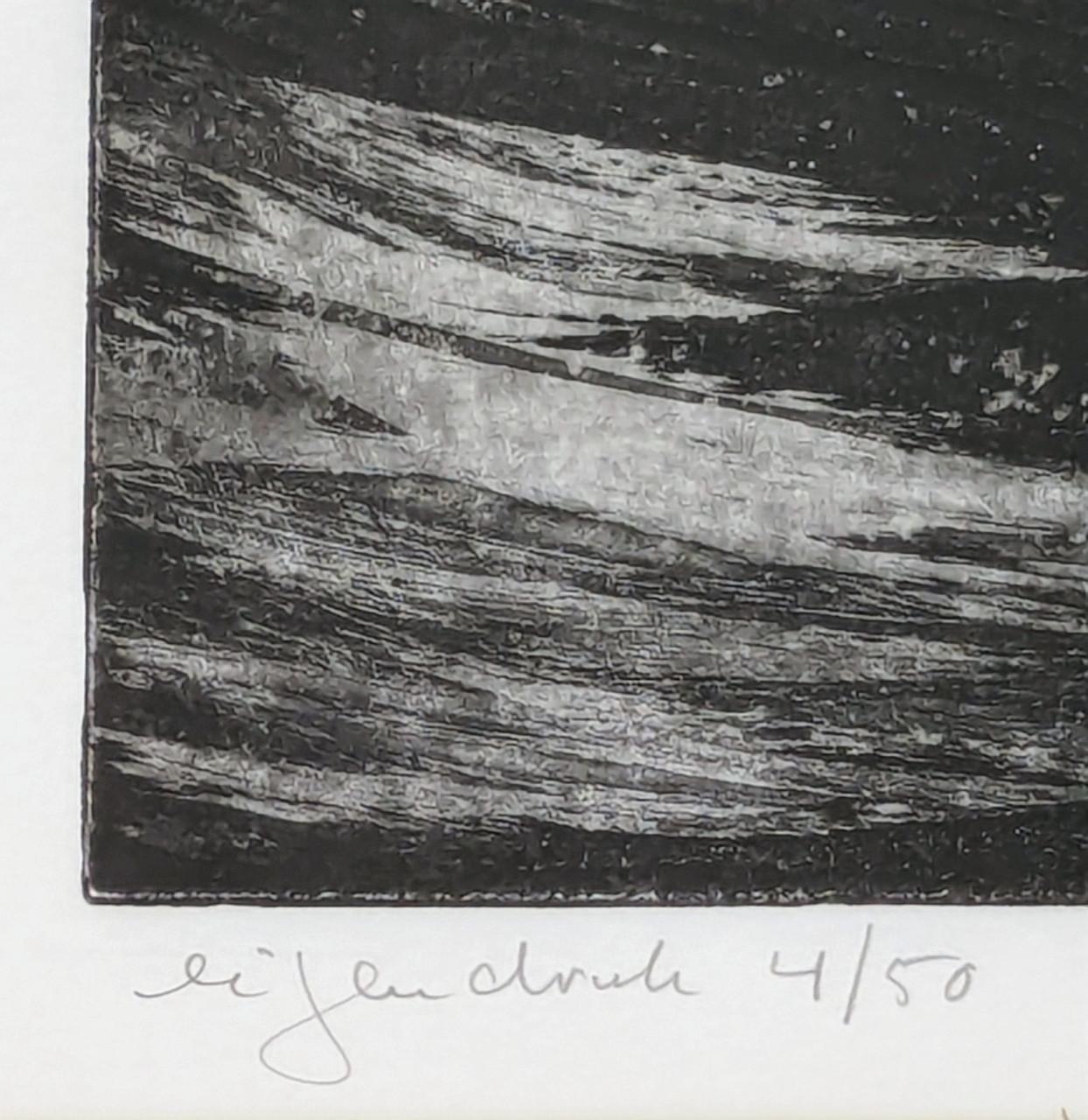 Kunstwerken van Jan Haas, Vlissingse kunstenaar