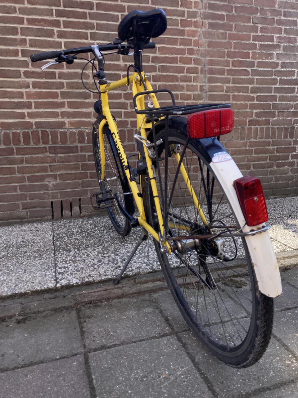 Gazelle Laguna (1996)