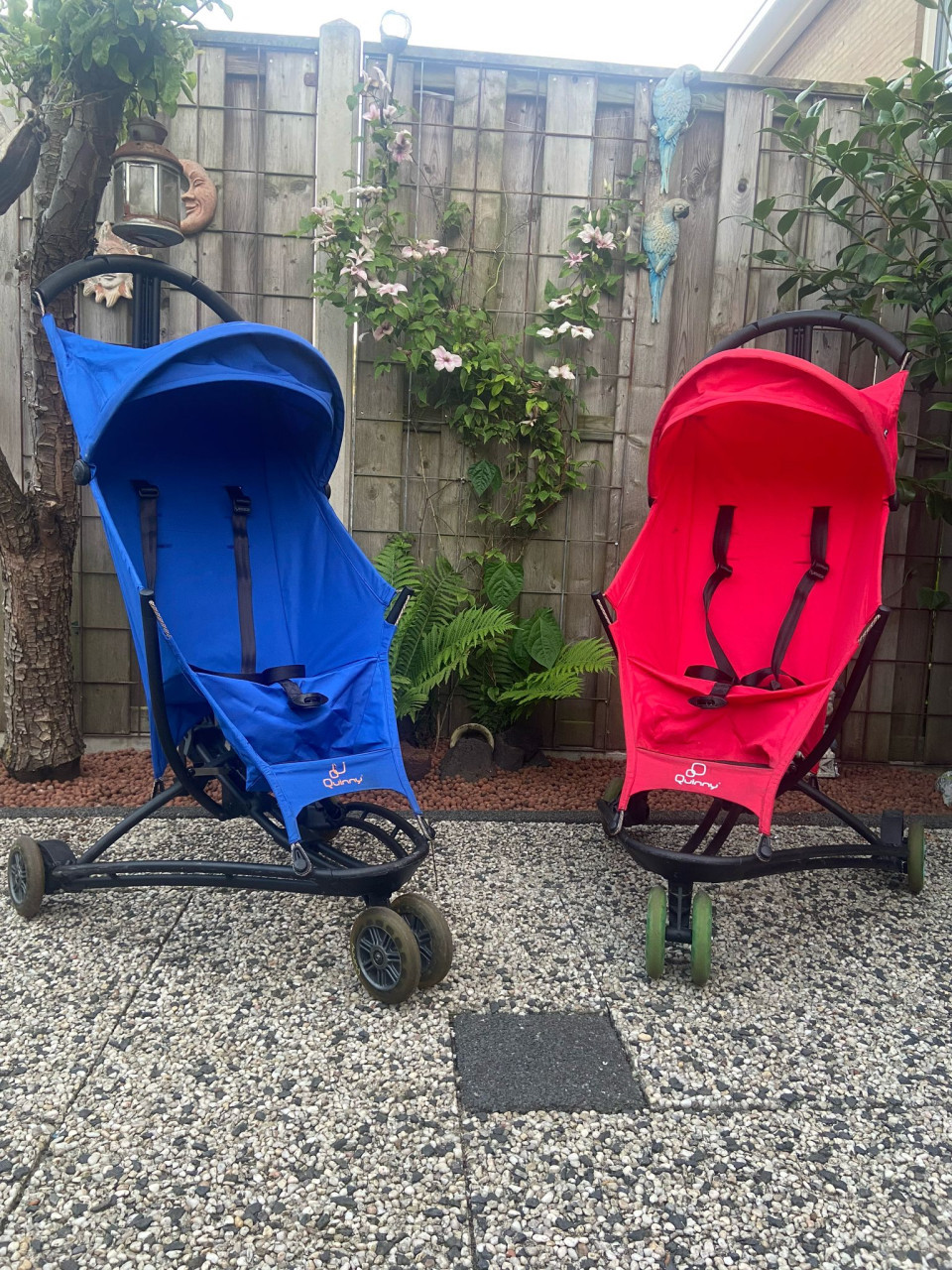 Te koop buggy