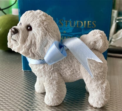 Leonardo collection  Bichon frisé