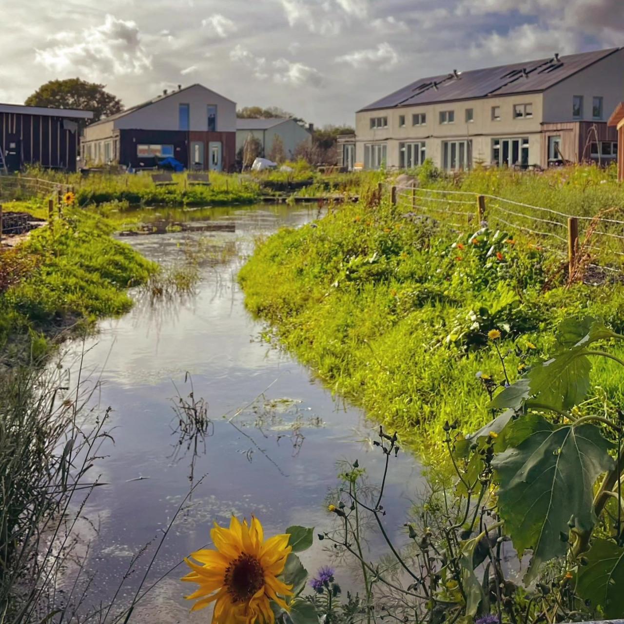 Huis te koop in de Woongaard, Serooskerke
