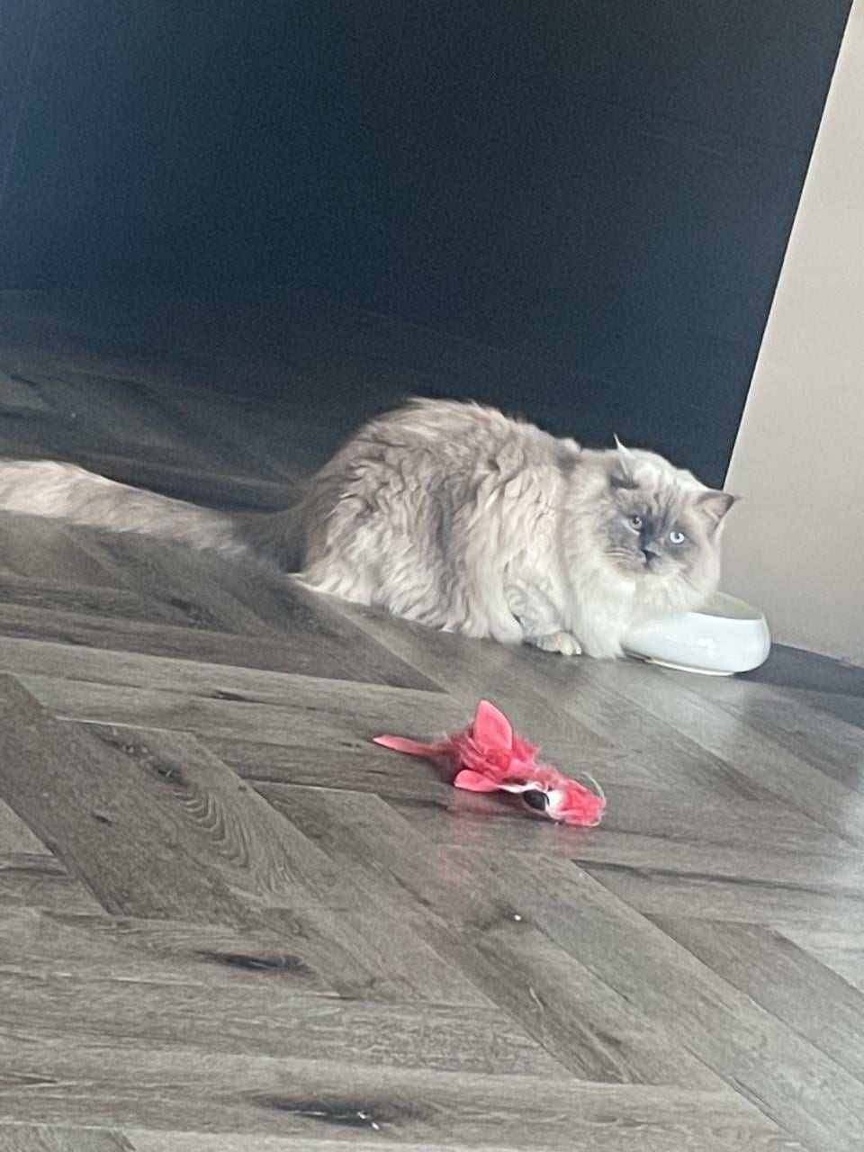 Ted is op zoek naar personeel