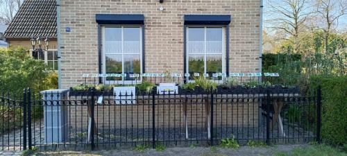 Het plantenkraampje: veel keuze aanvaste planten voor slechts €1,25 p/st.