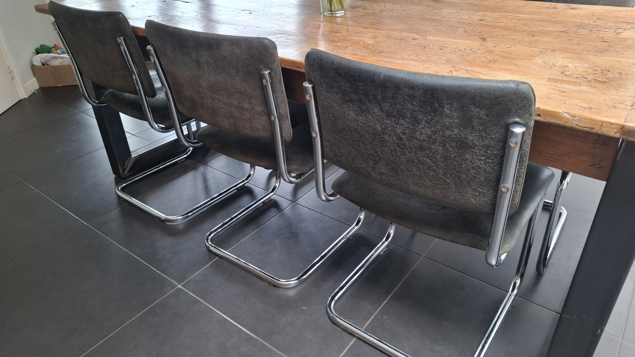 Buisframe stoelen Leer