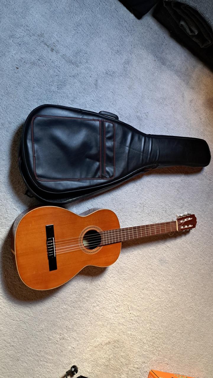 Gitaar