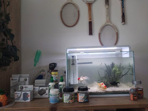 Compleet aquarium