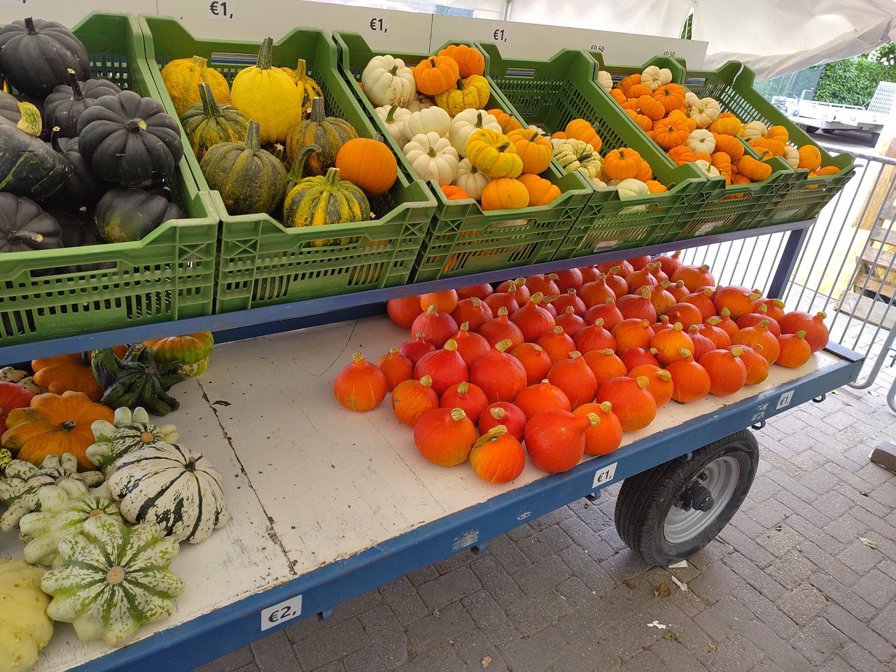 Pompoenen en kalebassen