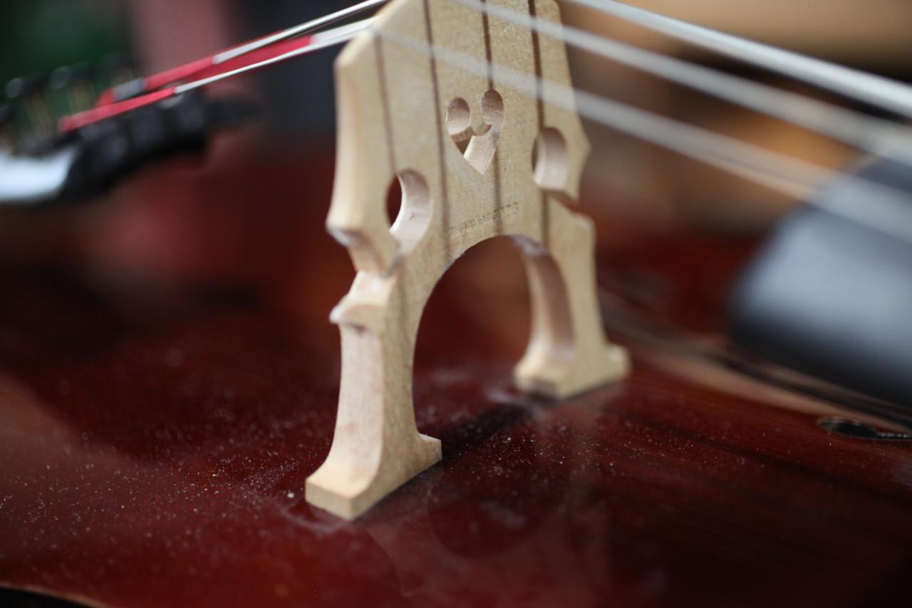 Studie cello uitverkoop 2 x 1/4 en 1 x 1/2