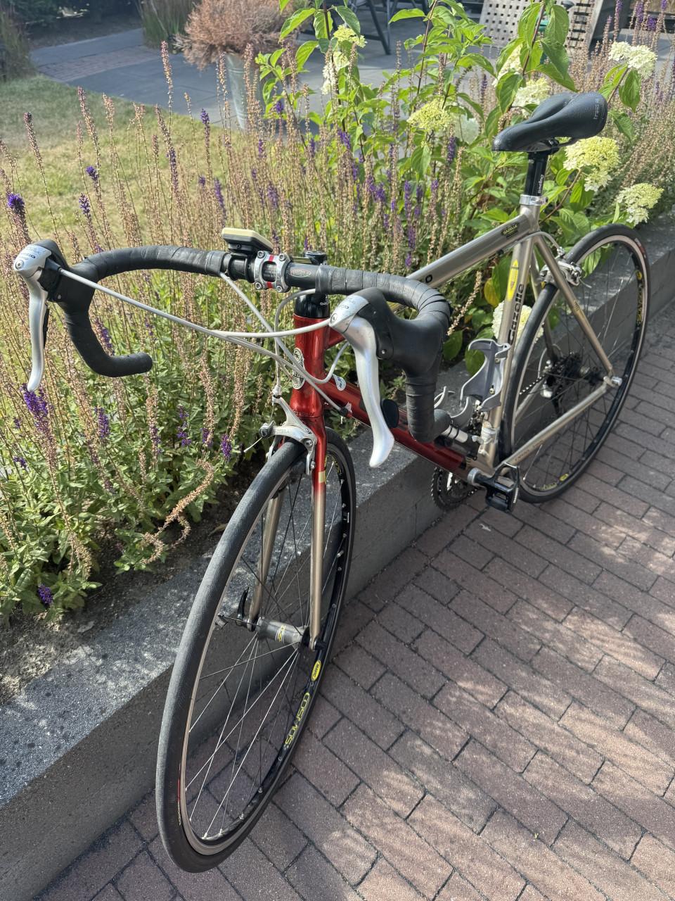 Gazelle Giro 7005 Racefiets