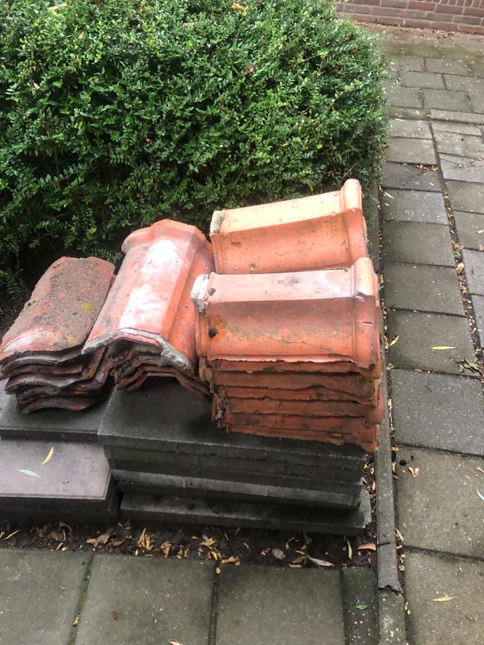 Nokvorsten (diverse types)