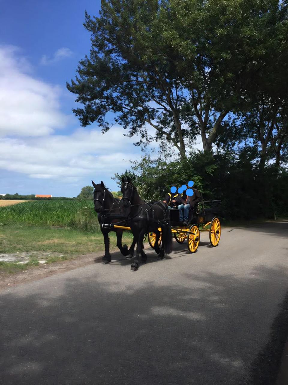 Familiekar