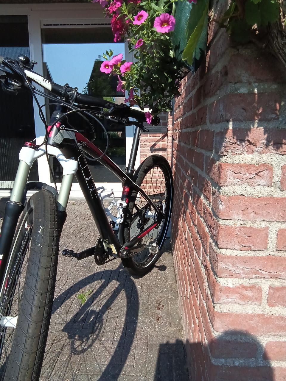 Dames moutainbike