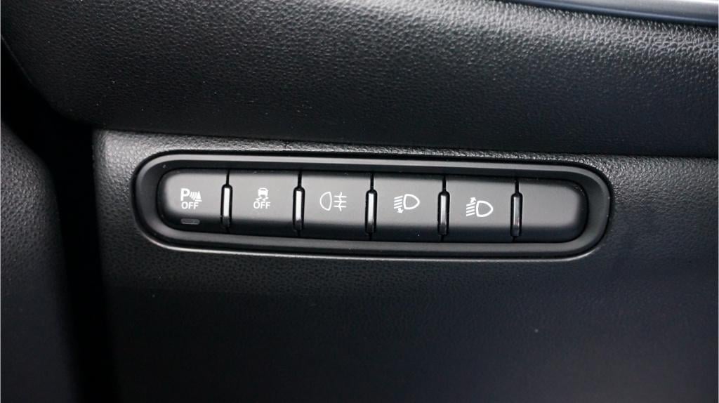 Fiat 500 C icon 42 kwh rijklaar incl garantie