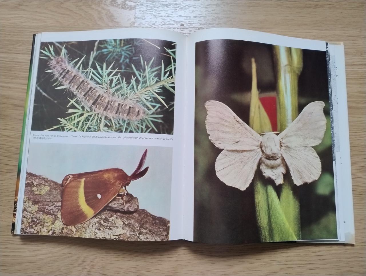 Complete 10 delige serie over de Geheimen van het Dierenrijk