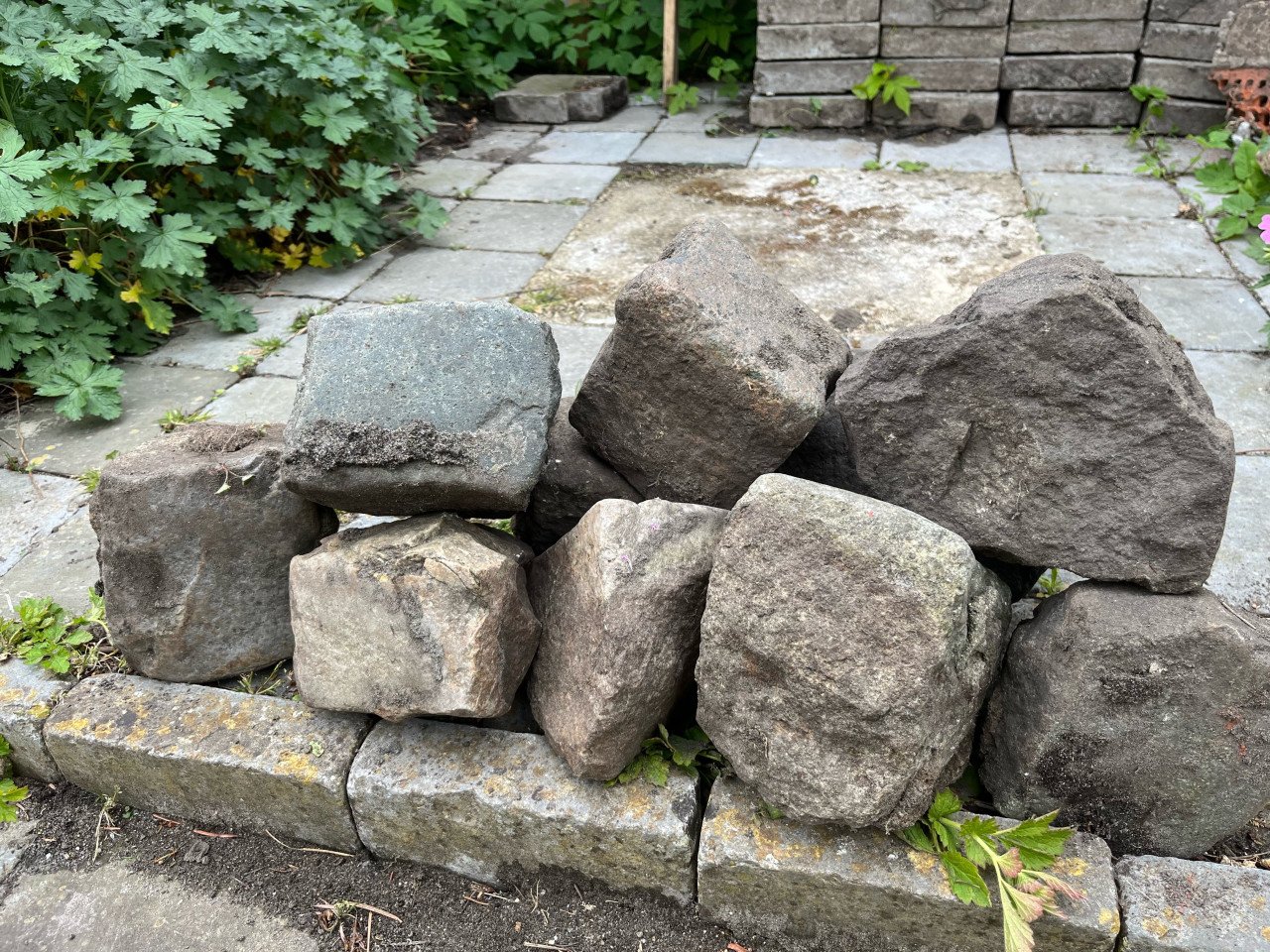 GRATIS ruime 100 kinderkopjes