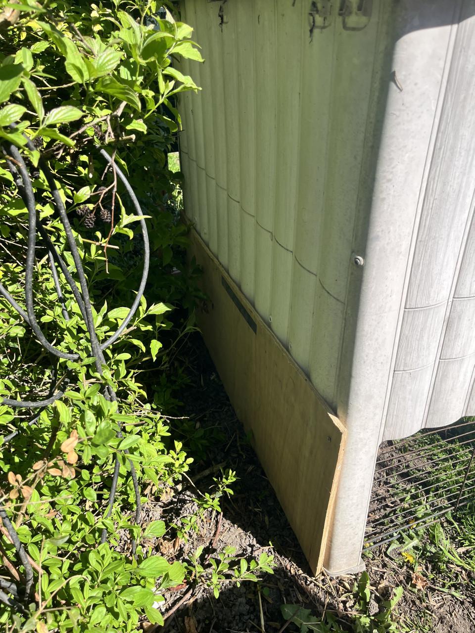 Konijnhok plus konijn