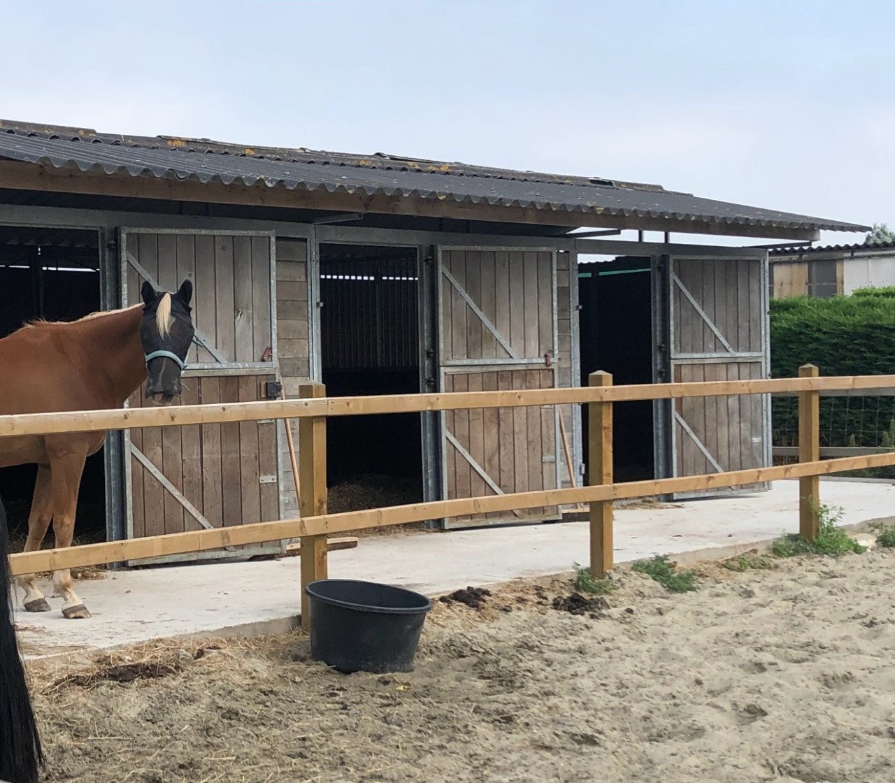 Topkwaliteit paardenstal 3x3 – Verplaatsbaar & direct inzetbaar