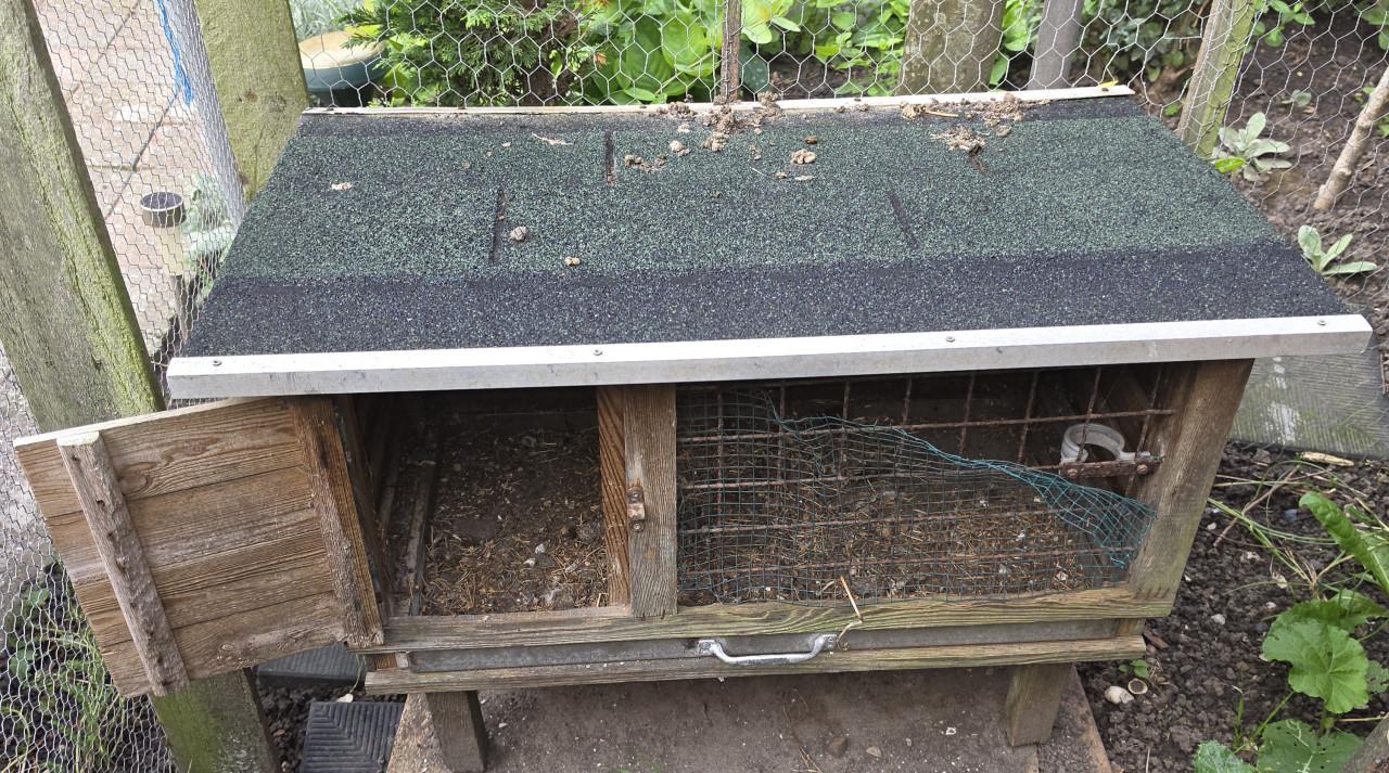 Kippenhok konijnen hok cavia ren binnen buiten