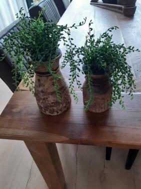 Napalese vaasjes met kunstplantjes