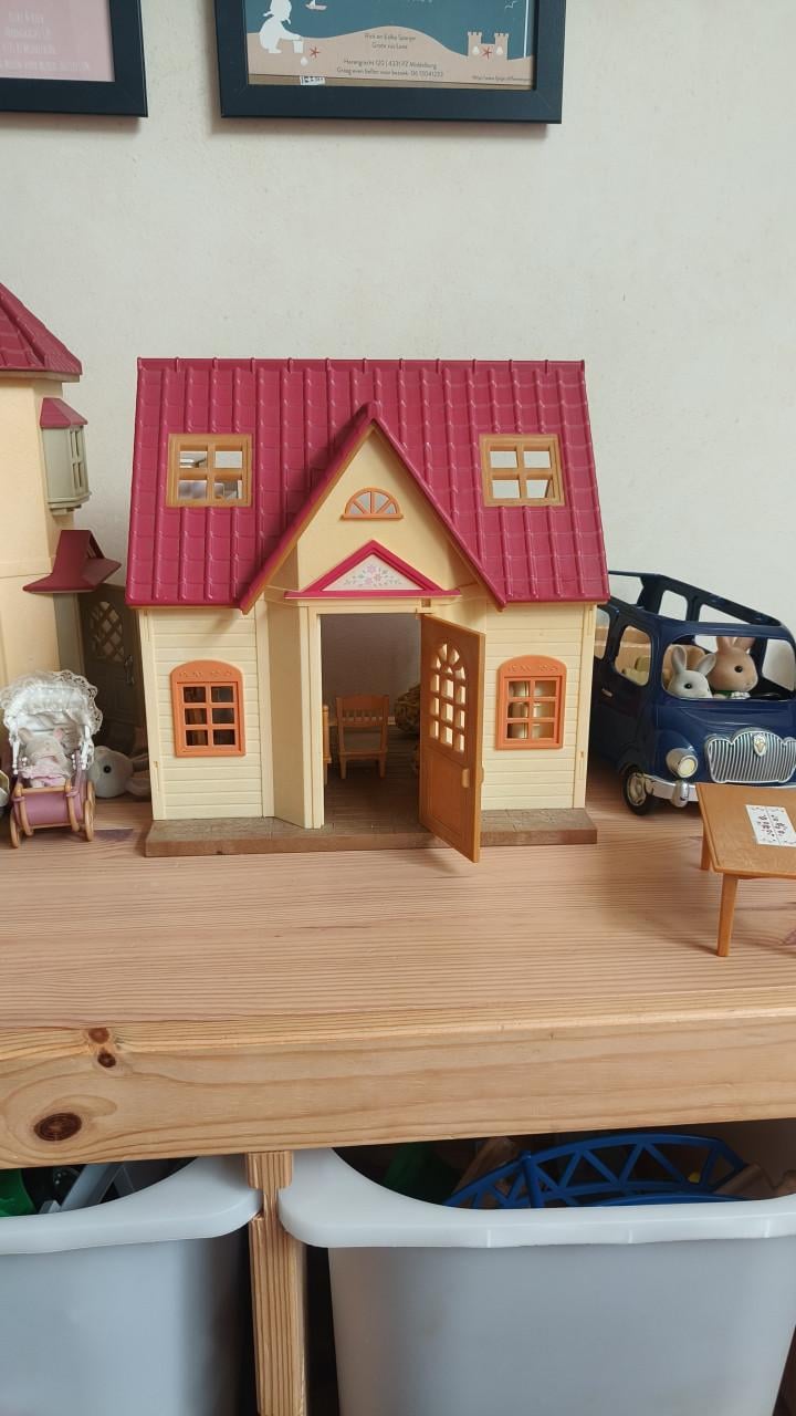 Grote set Sylvanian Families
