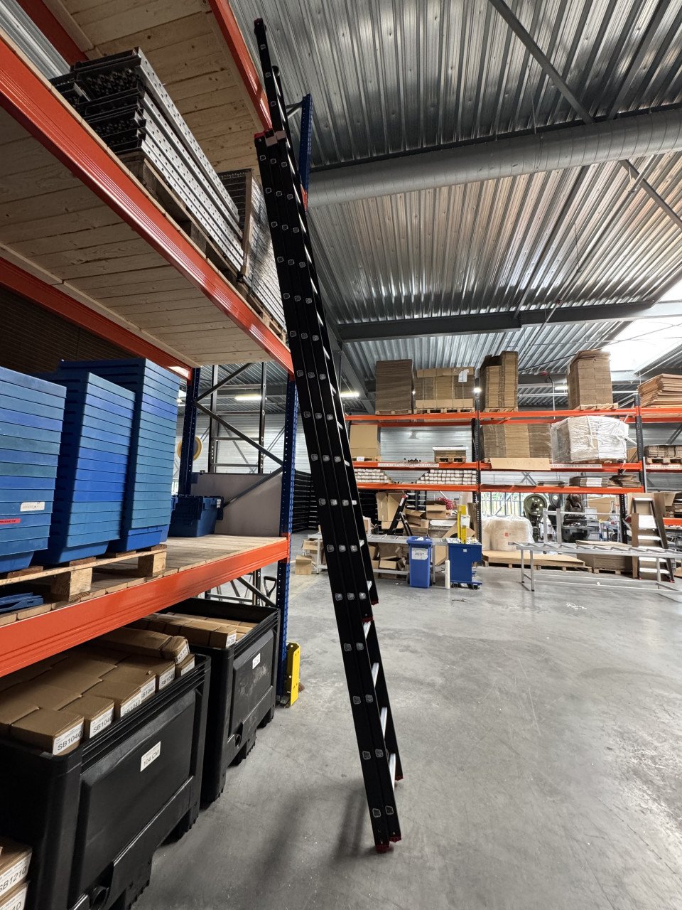 Ladder 3x16 sport te koop