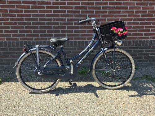 Sparta pick up meisjes 24'' nex 3 van 499 voor 225 inruil mogelijk