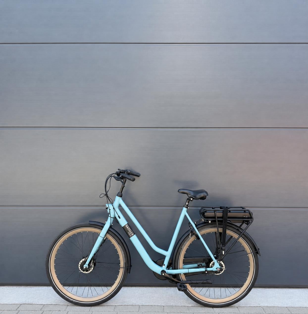 ZGAN Gazelle Esprit elektrische fiets 1000km!