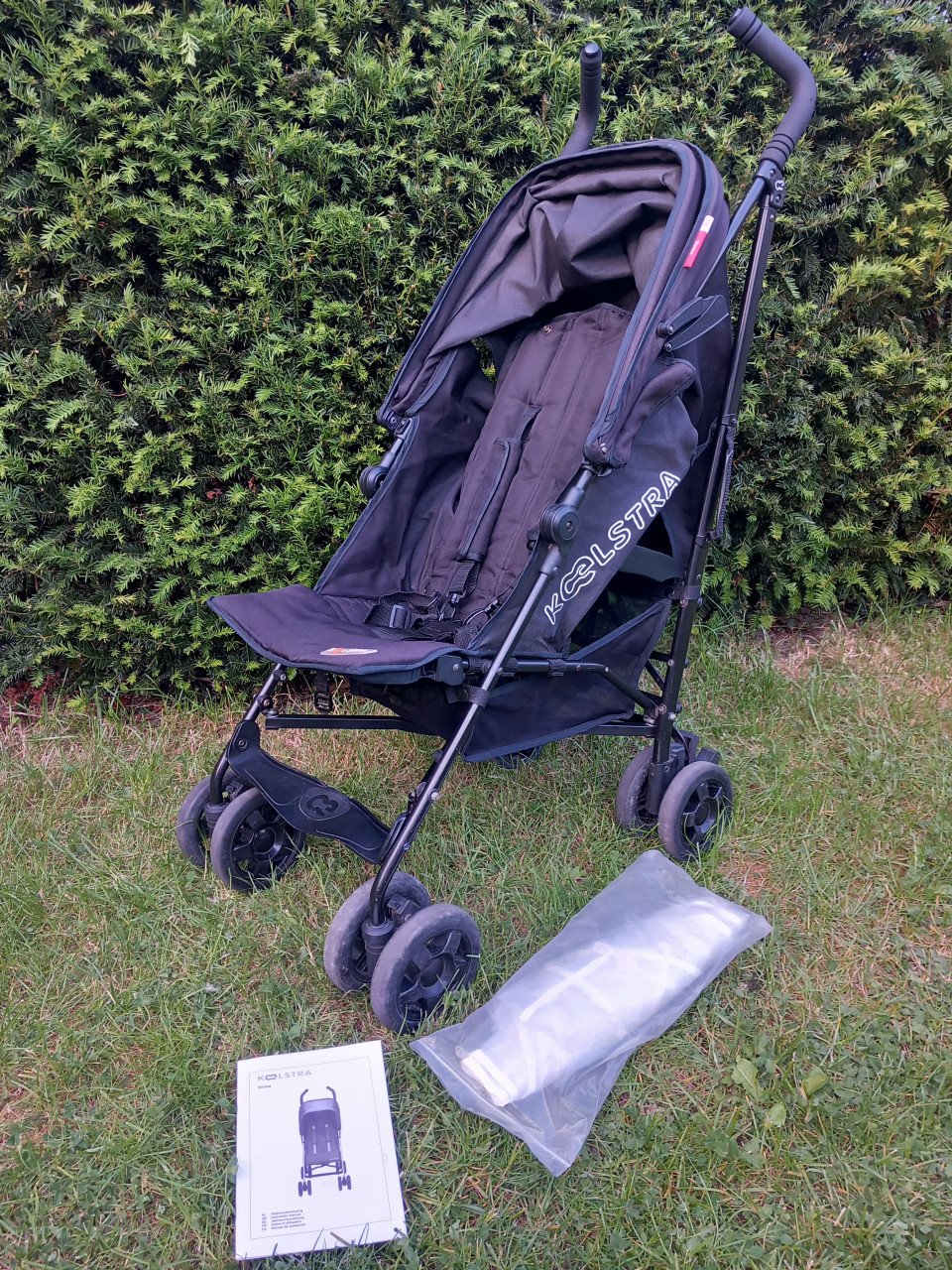 Koelstra Simba buggy