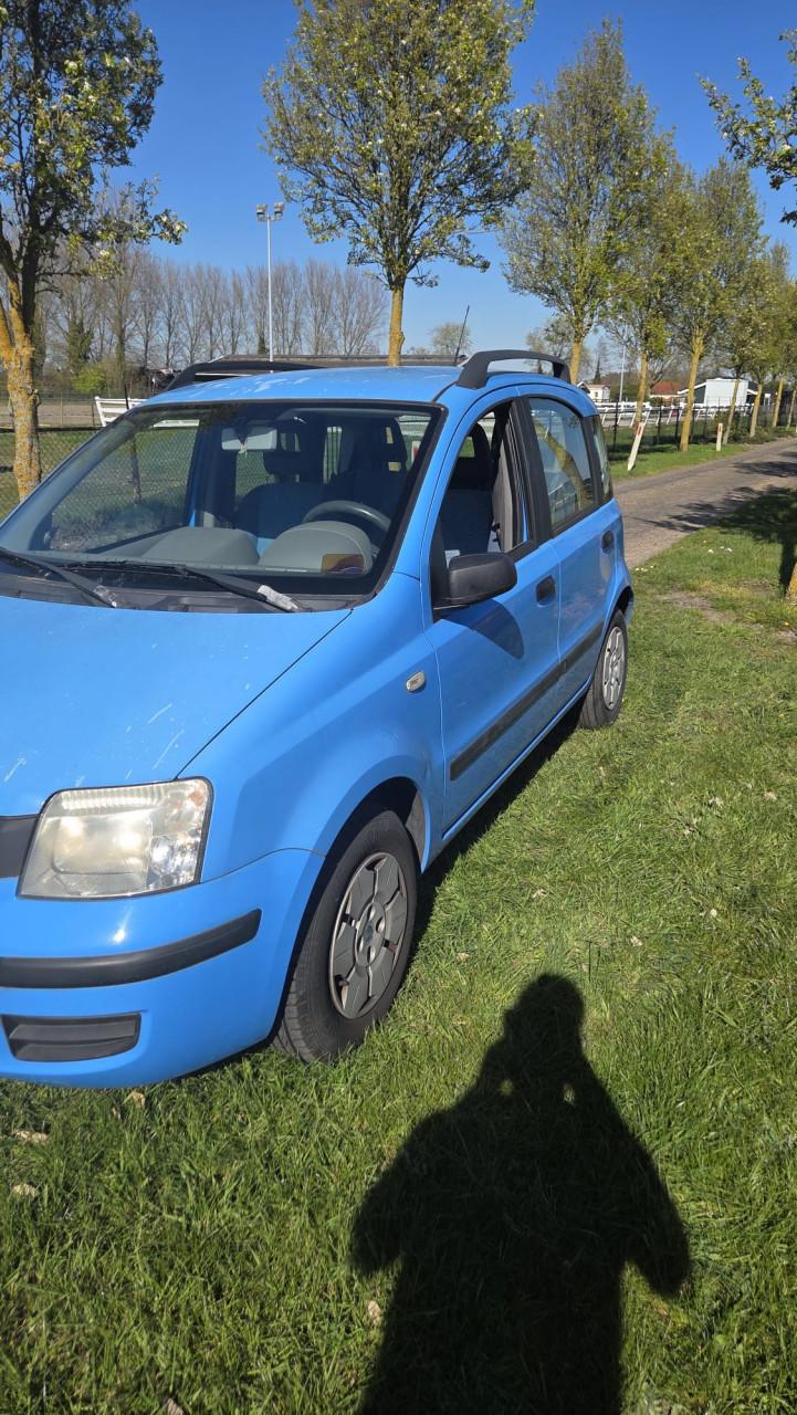 Fiat panda