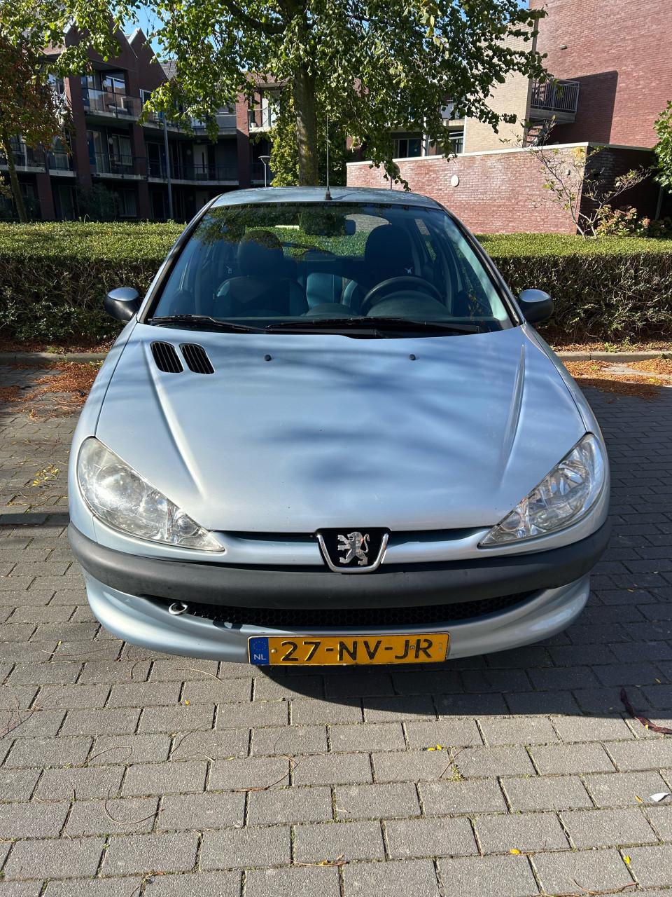 Peugeot 206 1.4i 5-Deurs licht blauw/grijs