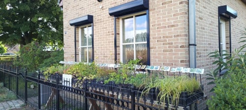 Na regen komt... planttijd ! Mooie planten voor slechts €1,25 p/st.